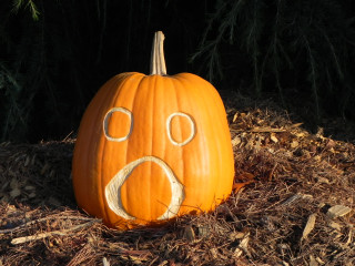 Oh, Nipomo Pumpkin Patch best carving idea